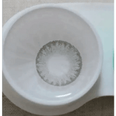 LensTown Swan Gray